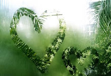 2024巴西甲级联赛有哪些不容错过的看点？